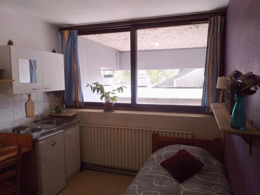 Cap Dauphine Apartment Grenoble Ngoại thất bức ảnh