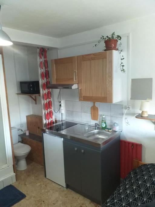 Cap Dauphine Apartment Grenoble Ngoại thất bức ảnh
