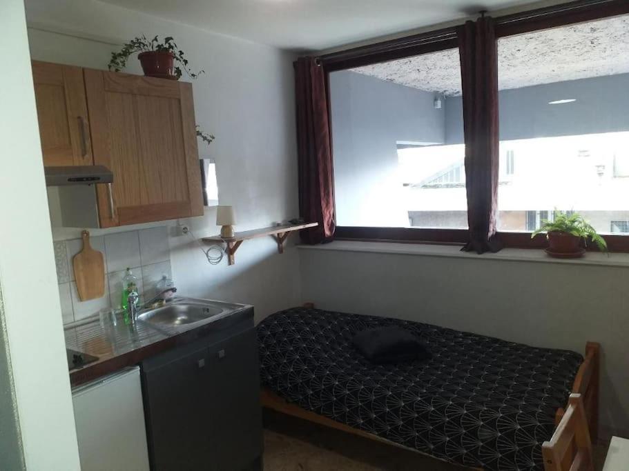 Cap Dauphine Apartment Grenoble Ngoại thất bức ảnh